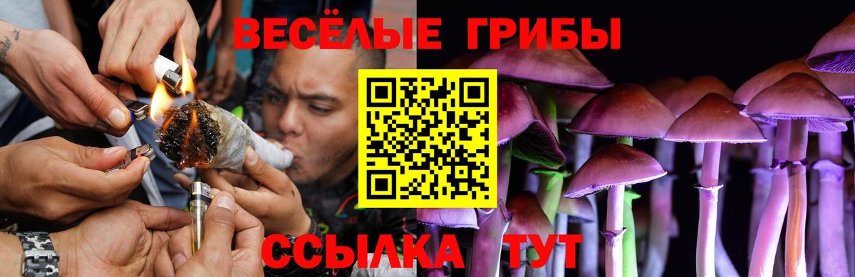Галлюциногенные грибы мухоморы Гуково