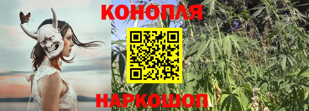 Бошки Шишки семена Гуково